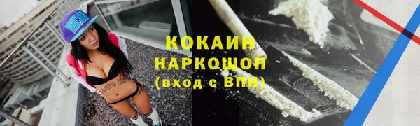 дживик Вязьма