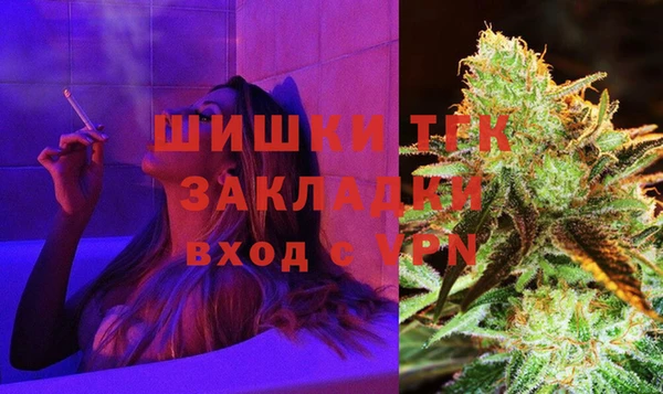 PSILOCYBIN Вязники