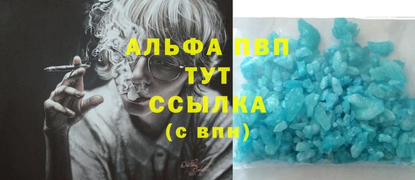 дживик Вязьма