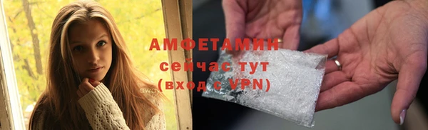 дживик Вязьма