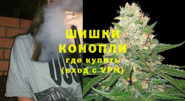дживик Вязьма