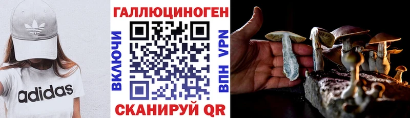 Псилоцибиновые грибы мухоморы купить наркотики цена Злынка